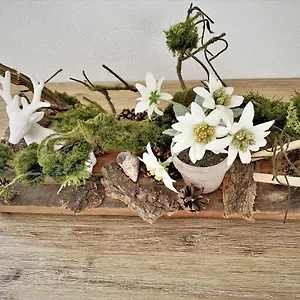 edelweiss-oberstaufen.com-bavaria.com/